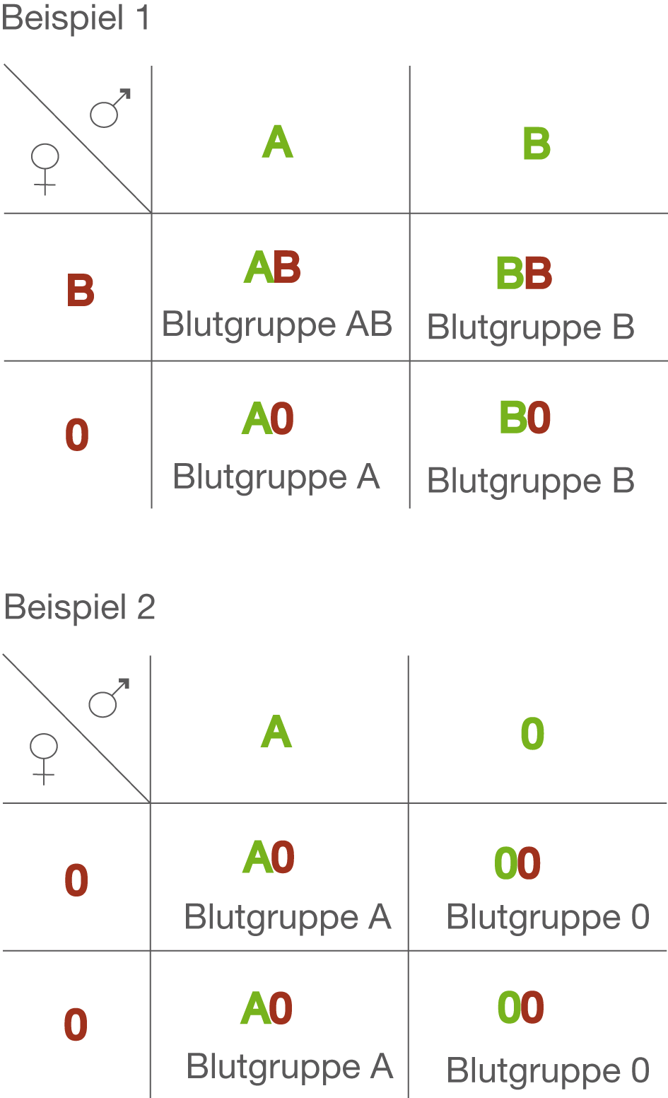 Blutgruppen | SchulLV