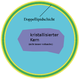 Organellen - Cytologie - Bio - Digitales Schulbuch - Skripte - SchulLV.de