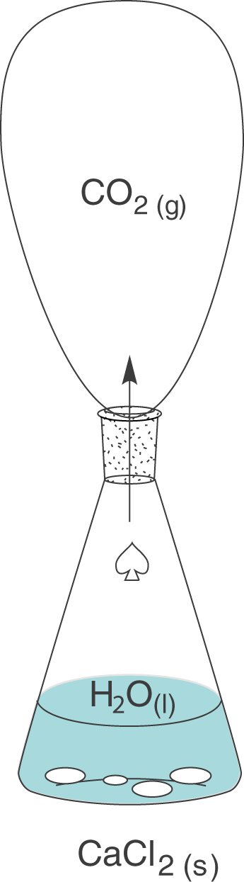 Diagramm eines chemischen Prozesses mit CO₂, H₂O und festem Stoff.