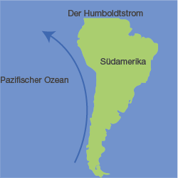 Meeresströmungen | SchulLV