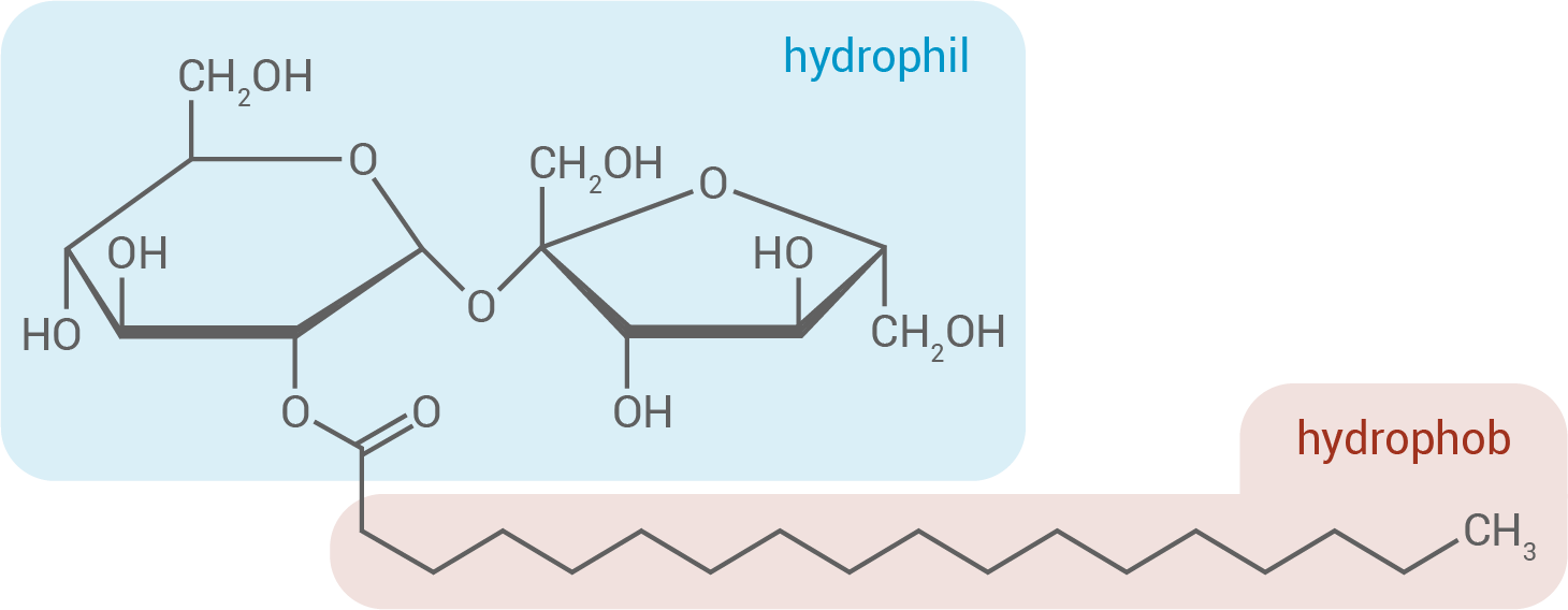Diagramm mit hydrophilen und hydrophoben Molekülstrukturen.