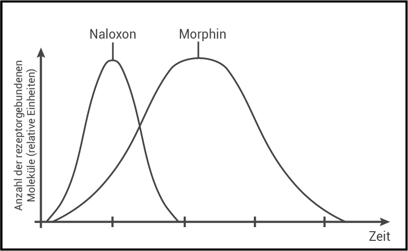 bindung morphin und naloxon an opioidrezeptoren