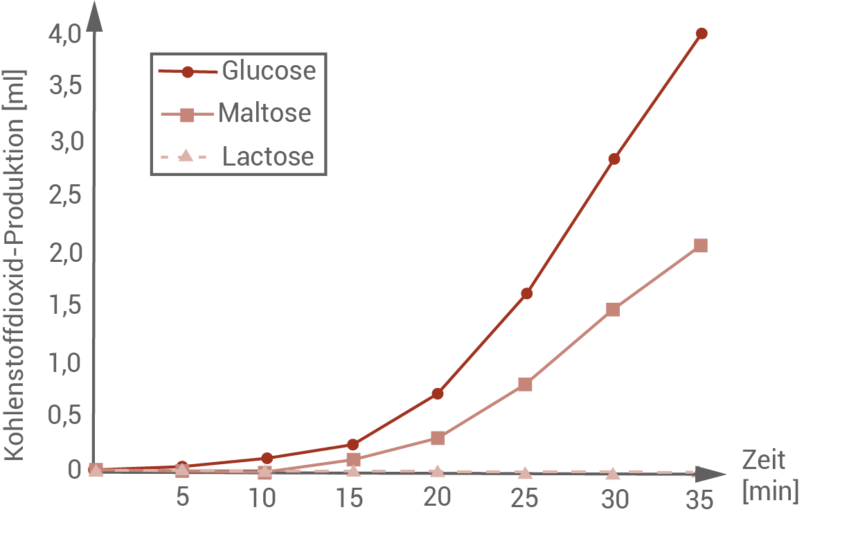 co2 produktion durch hefezellen