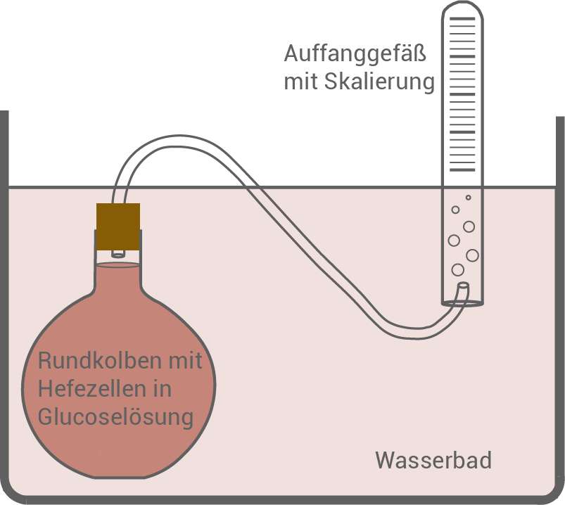 versuch co2