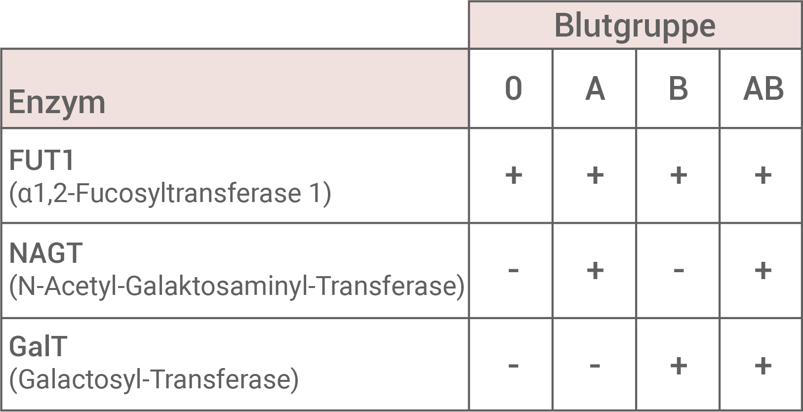 bw bio abi 2023 enzyme