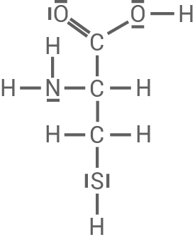 chemie bw 2022 a2 2